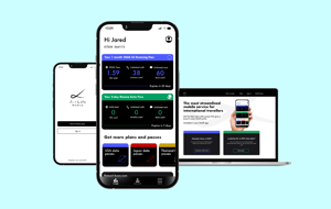 different MVNO segments_Airlift Mobile