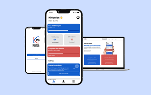 different MVNO segments_Mass Energy Mobile app