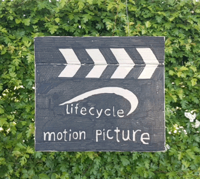 Lifecycle Software video home made snapper board